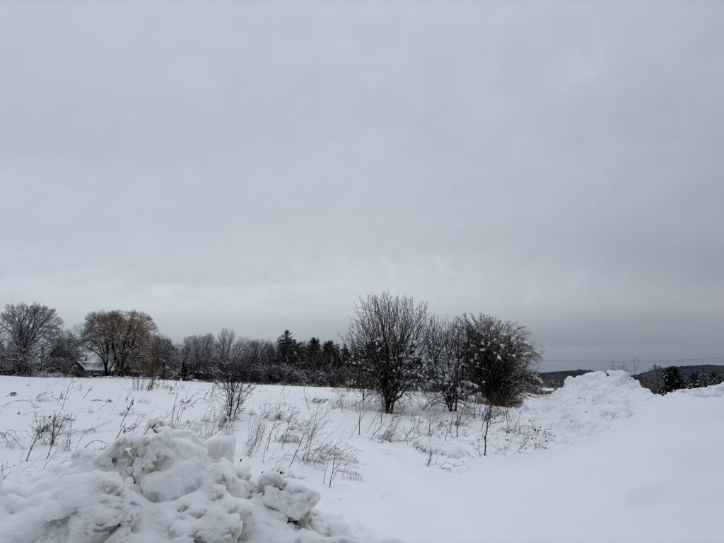 snow covered field is the site for future development